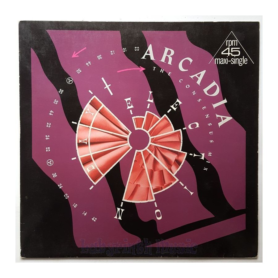 Arcadia - Election Day • The Consensus Mix • 12" Vinyl Maxi - Labyrinth Music