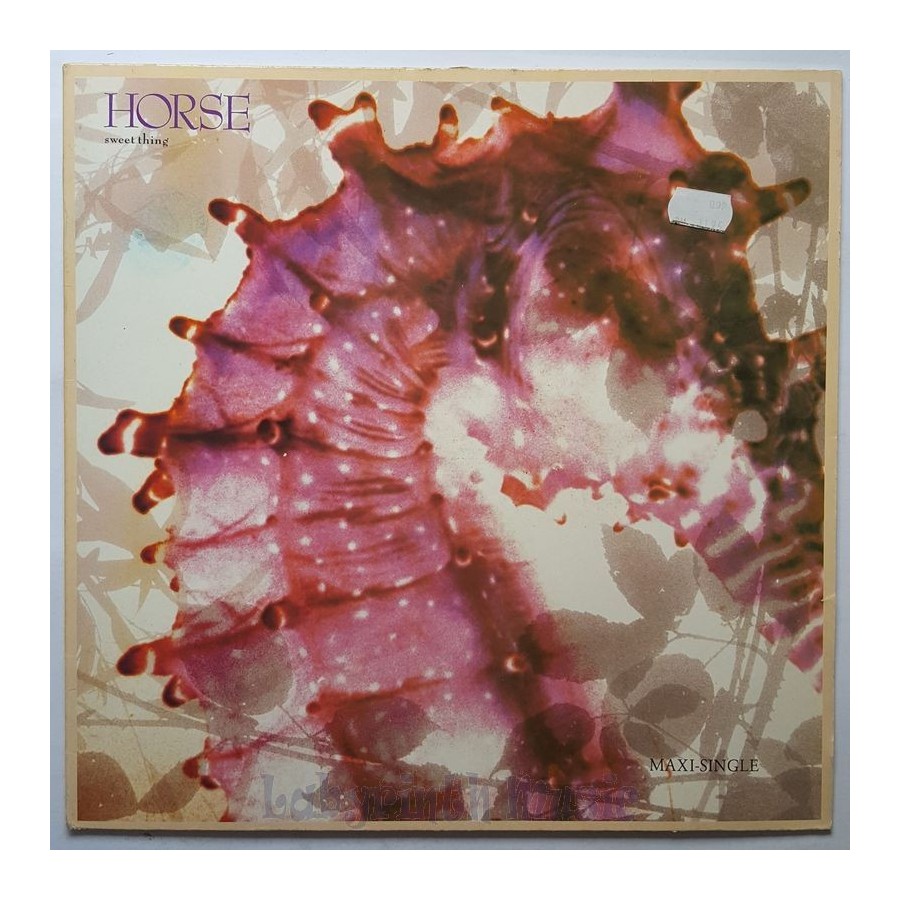 Horse - Sweet Thing • 12" Vinyl Maxi • EX - Labyrinth Music