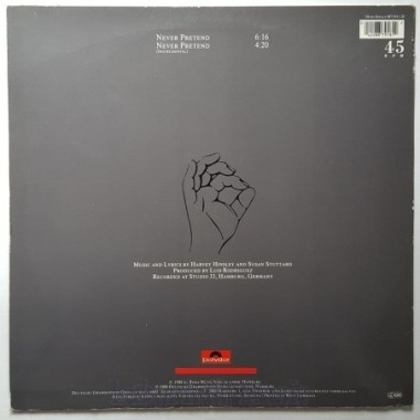 Hot Chocolate - Never Pretend • 12" Vinyl Maxi • EX - Labyrinth Music