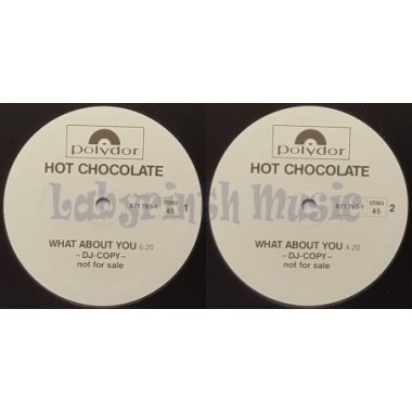 Hot Chocolate - What About You • 12" Vinyl Maxi - Labyrinth Music