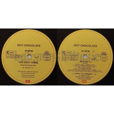 Hot Chocolate - You Sexy Thing • 12" Vinyl Maxi • NM - Labyrinth Music