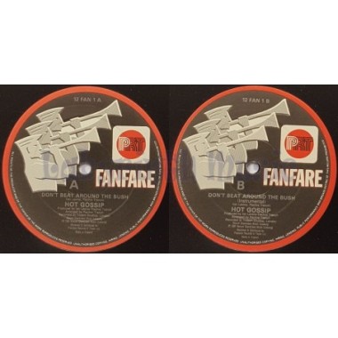 Hot Gossip - Don't Beat Around The Bush • 12" Vinyl Maxi • EX - Labyrinth Music