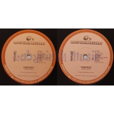 Hotline - Fantasy • 12" Vinyl Maxi - Labyrinth Music