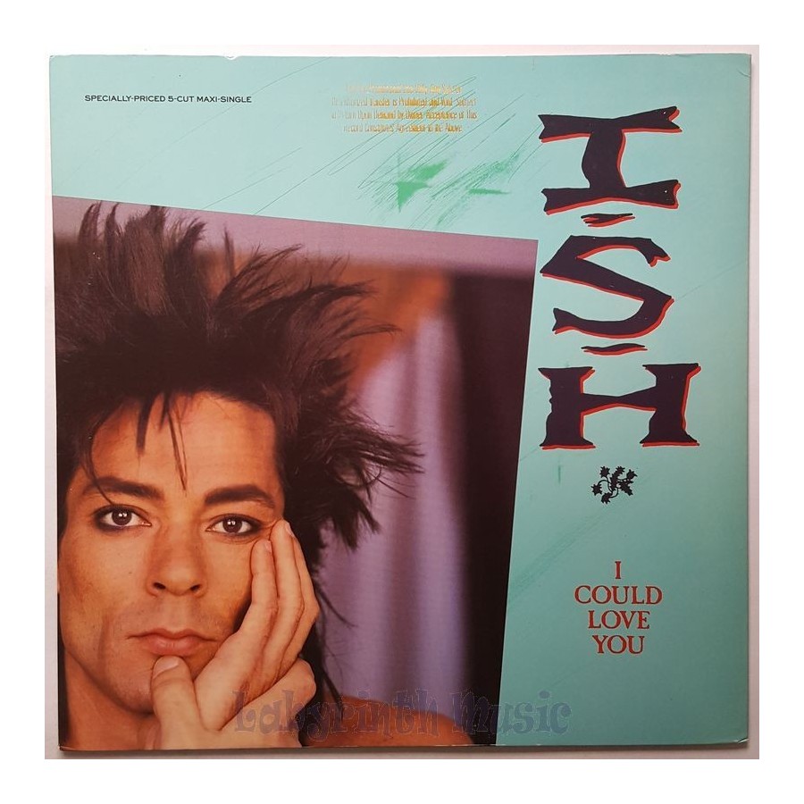 Ish - I Could Love You • 12" Vinyl Maxi • NM - Labyrinth Music