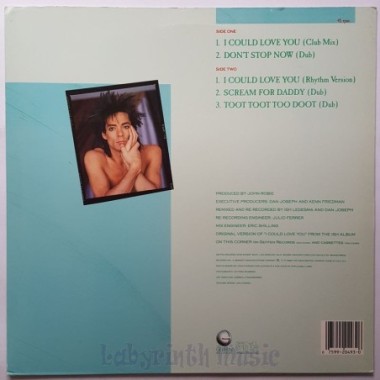 Ish - I Could Love You • 12" Vinyl Maxi • NM - Labyrinth Music