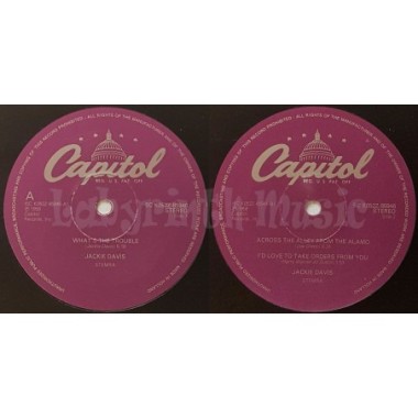 Jackie Davis - What's The Trouble • 12" Vinyl Maxi • EX - Labyrinth Music