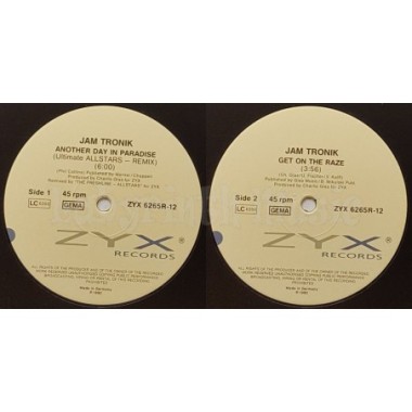 Jam Tronik - Another Day In Paradise • Remix • 12" Vinyl Maxi • MINT - Labyrinth Music