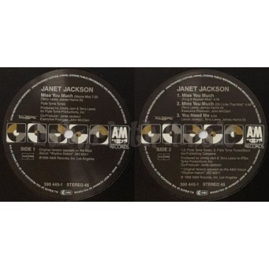 Janet Jackson - Miss You Much • 12" Vinyl Maxi • EX - Labyrinth Music