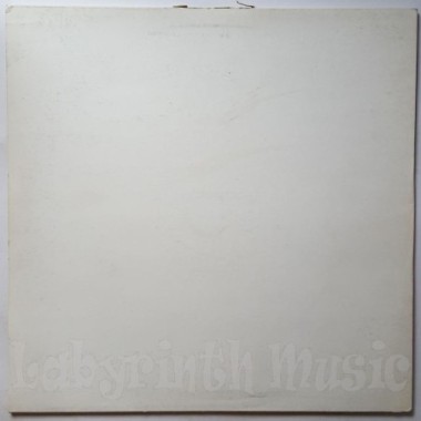 Janet Jackson - You Want This • 12" Vinyl Maxi • EX - Labyrinth Music