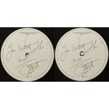 Janet Jackson - You Want This • 12" Vinyl Maxi • EX - Labyrinth Music