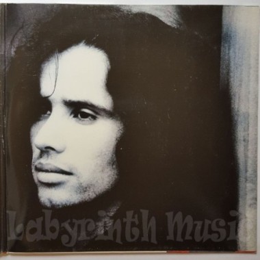 Jellybean - Rocks The House • 12" Vinyl LP • EX - Labyrinth Music