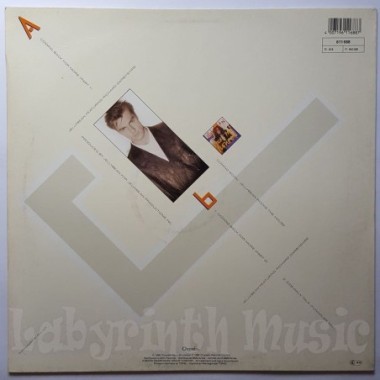 Jellybean Feat. Richard Darbyshire - Coming Back For More • 12" Vinyl Maxi - Labyrinth Music