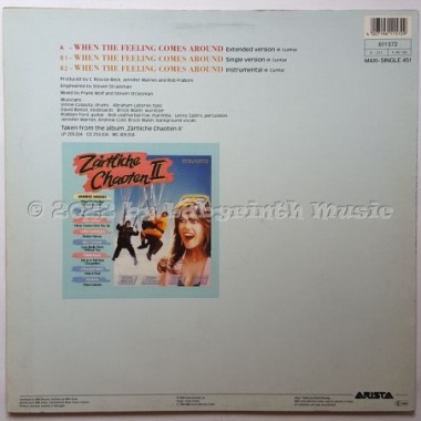 Jennifer Warnes - When The Feelings Comes Around • 12" Vinyl Maxi • EX - Labyrinth Music