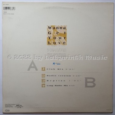 Jenny Bee - Wanna Get Your Love • 12" Vinyl Maxi • EX - Labyrinth Music