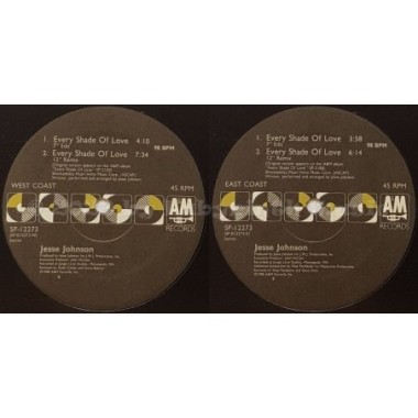 Jesse Johnson - Every Shade Of Love • 12" Vinyl Maxi - Labyrinth Music