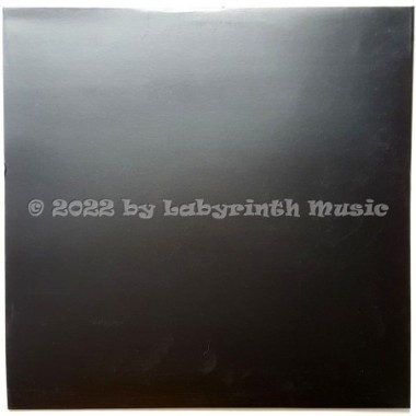 Jesus Jones - International Bright Young Thing • 12" Vinyl Maxi - Labyrinth Music