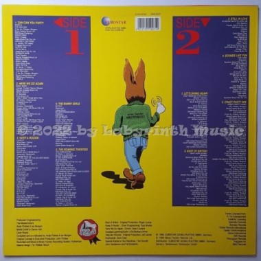 Jive Bunny And The Mastermixers - It's Party Time • 12" Vinyl LP • MINT - Labyrinth Music