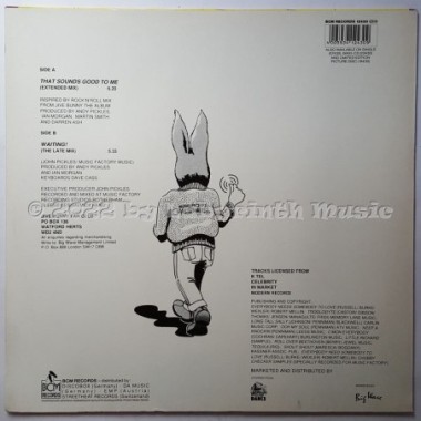 Jive Bunny And The Mastermixers - That Sounds Good To Me • 12" Vinyl Maxi • EX - Labyrinth Music