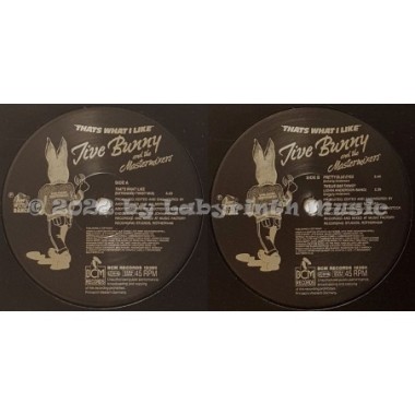 Jive Bunny And The Mastermixers - That's What I Like • 12" Vinyl Maxi • MINT - Labyrinth Music