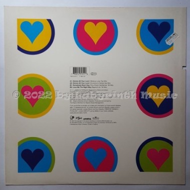 Jocelyn Brown And Kym Mazelle - Gimme All Your Lovin' • 12" Vinyl Maxi • MINT - Labyrinth Music