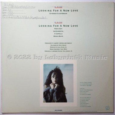 Jody Watley - Looking For A New Love • 12" Vinyl Maxi • EX - Labyrinth Music