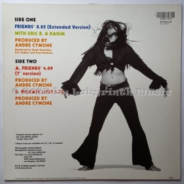 Jody Watley With Eric B. & Rakim - Friends • 12" Vinyl Maxi • MINT - Labyrinth Music