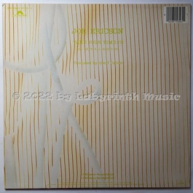 Joe Ericson - Take Your Time • 12" Vinyl Maxi • EX - Labyrinth Music