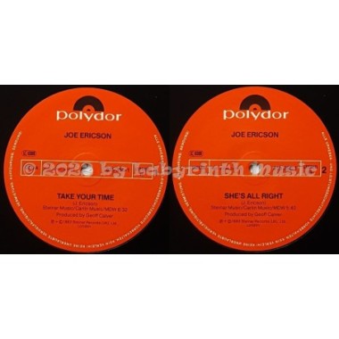 Joe Ericson - Take Your Time • 12" Vinyl Maxi • EX - Labyrinth Music