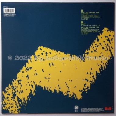 John Davis - Still Be Loving You • 12" Vinyl Maxi - Labyrinth Music