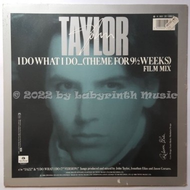 John Taylor - I Do What I Do… • 12" Vinyl Maxi - Labyrinth Music