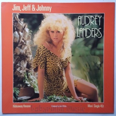 Audrey Landers - Jim, Jeff & Johnny • 12" Vinyl Maxi - Labyrinth Music