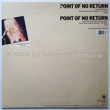 Joy Rider - Point Of No Return • 12" Vinyl Maxi • EX - Labyrinth Music