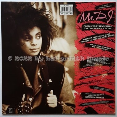 Joyce 'Fenderella' Irby - Mr. D.J. • 12" Vinyl Maxi • NM - Labyrinth Music