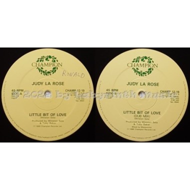 Judy La Rose - Little Bit Of Love • 12" Vinyl Maxi - Labyrinth Music