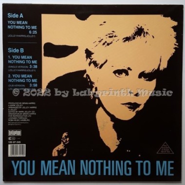 Jules - You Mean Nothing To Me • 12" Vinyl Maxi • EX - Labyrinth Music