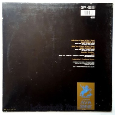 Ava - I Want What I Want • 12" Vinyl Maxi - Labyrinth Music