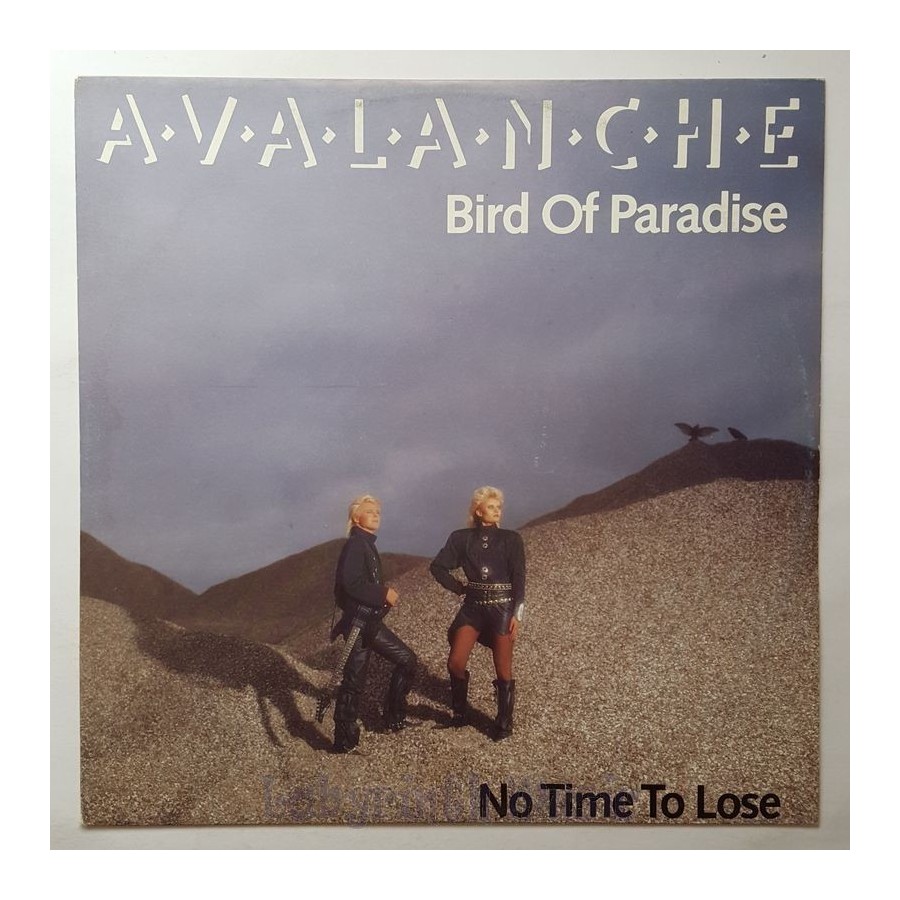 Avalanche - Bird Of Paradise • 12" Vinyl Maxi - Labyrinth Music