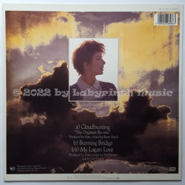 Kate Bush - Cloudbusting • 12" Vinyl Maxi • MINT - Labyrinth Music