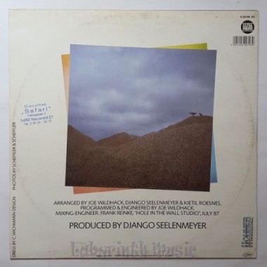 Avalanche - Bird Of Paradise • 12" Vinyl Maxi - Labyrinth Music
