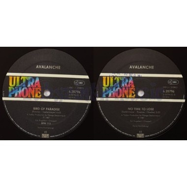 Avalanche - Bird Of Paradise • 12" Vinyl Maxi - Labyrinth Music