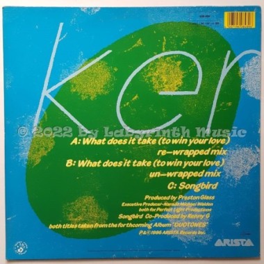 Kenny G - What Does It Take (To Win Your Love) • 12" Vinyl Maxi - Labyrinth Music