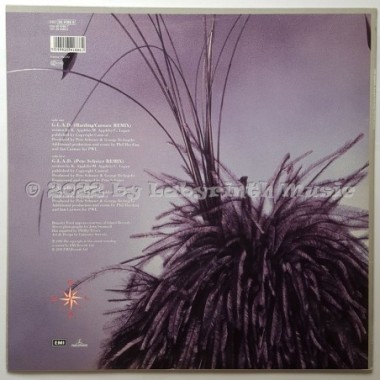 Kim Appleby - G.L.A.D. • 12" Vinyl Maxi • MINT - Labyrinth Music