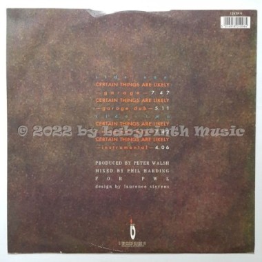 Kissing The Pink - Certain Things Are Likely • 12" Vinyl Maxi - Labyrinth Music