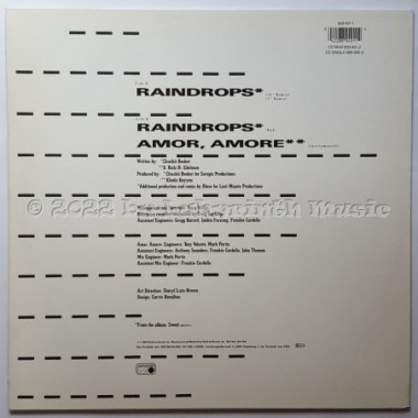 Kool & The Gang - Raindrops • 12" Vinyl Maxi • MINT - Labyrinth Music
