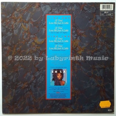 La La - (If You) Love Me Just A Little • 12" Vinyl Maxi • EX - Labyrinth Music