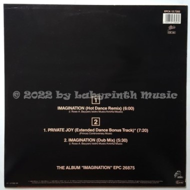 La Toya Jackson - Imagination • 12" Vinyl Maxi • MINT - Labyrinth Music