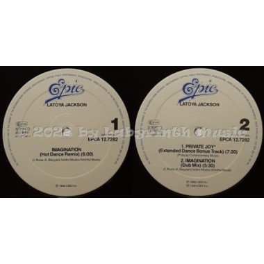 La Toya Jackson - Imagination • 12" Vinyl Maxi • MINT - Labyrinth Music
