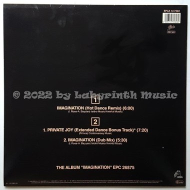 La Toya Jackson - Imagination • 12" Vinyl Maxi • EX - Labyrinth Music