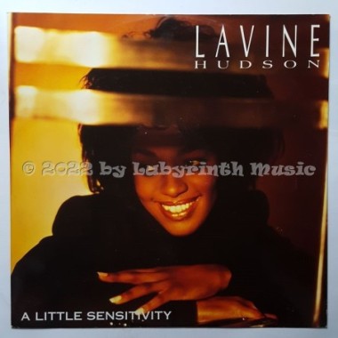 Lavine Hudson - A Little Sensitivity • 12" Vinyl Maxi • EX - Labyrinth Music