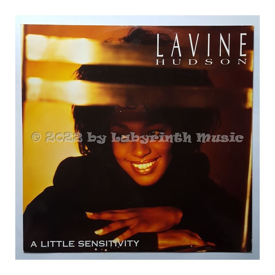 Lavine Hudson - A Little Sensitivity • 12" Vinyl Maxi • EX - Labyrinth Music